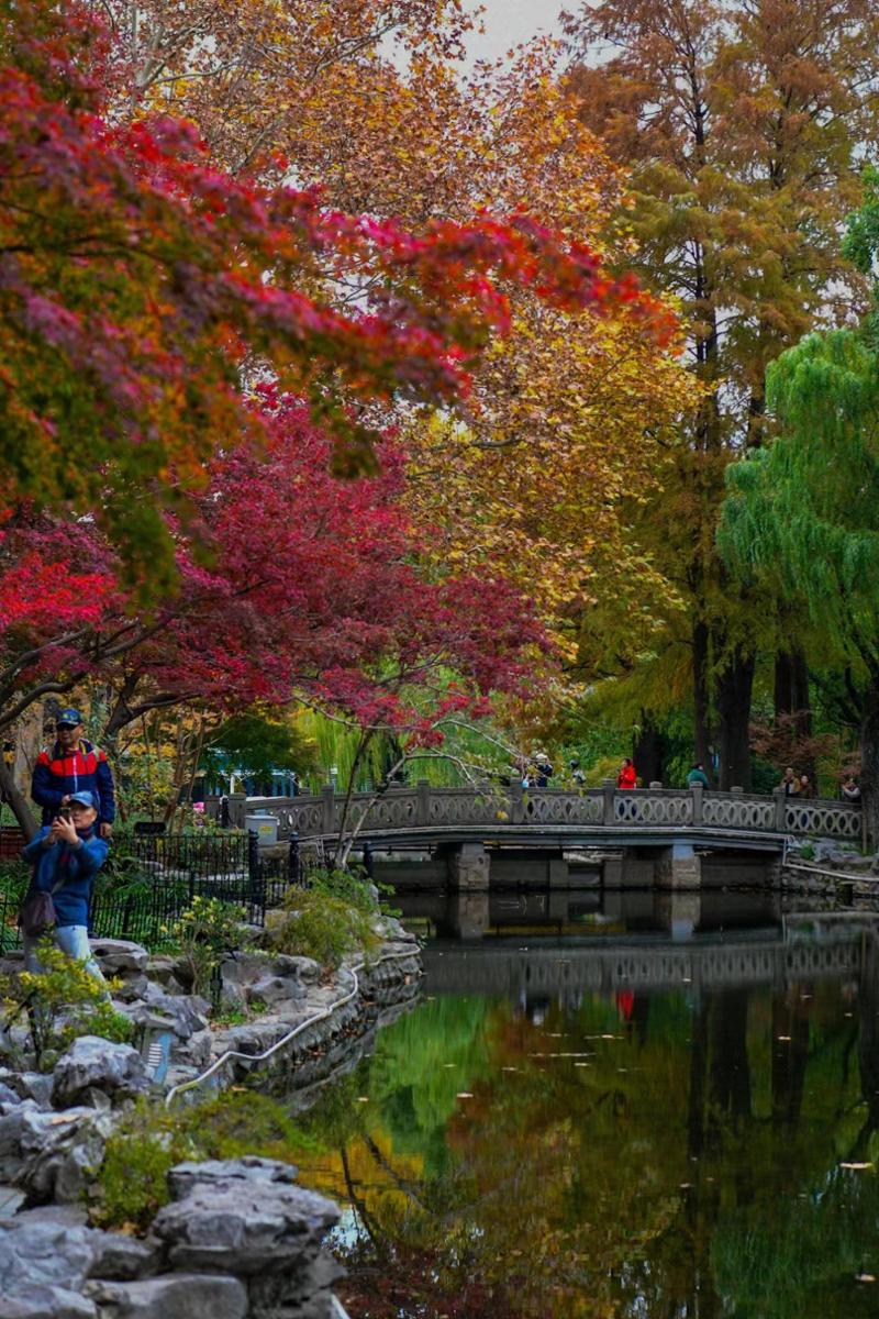 鲁迅公园里，市民用镜头记录下秋天。劳动报记者颜筱依 摄影