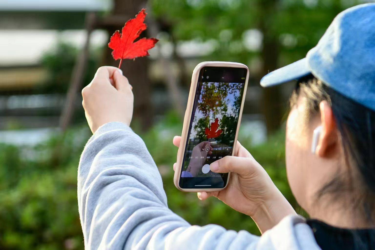 收获一片完美的树叶，也是一种小确幸。劳动报记者颜筱依 摄影