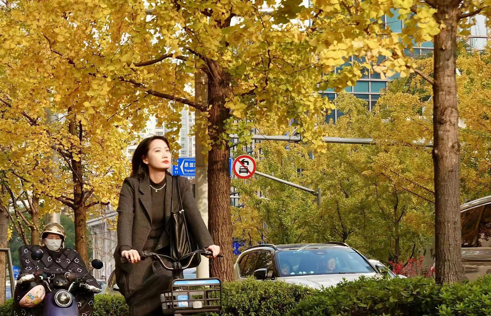 静安寺的银杏树连绵一片。劳动报记者贡俊祺 摄影