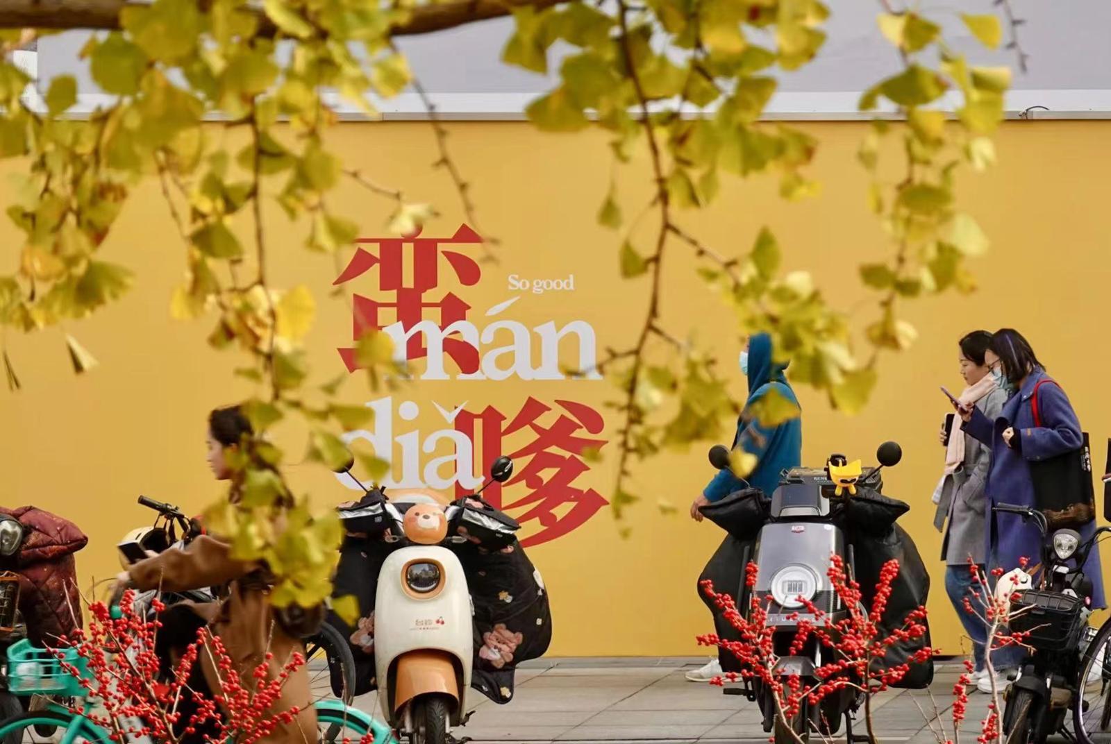 静安寺的银杏树连绵一片。劳动报记者贡俊祺 摄影